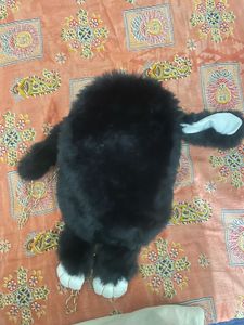 Cute Black Bunny Plush Toy