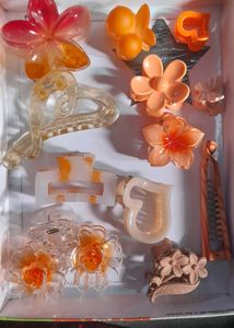 Assorted Hair Claw Clips Set