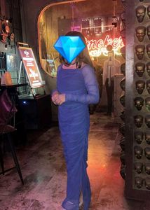 Navy Blue Sheer Sleeve Dress