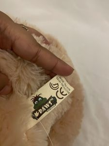 Cute Teddy Bear with "Be Mine" Heart