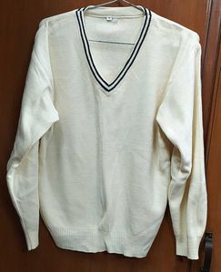 Classic V-Neck Sweater