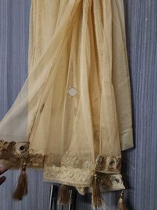 Beige Embroidered net Dupatta