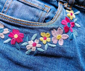 Max Embroidered Blue Denim Shorts