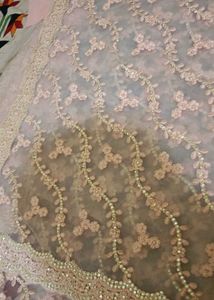 Elegant Peach Net Saree