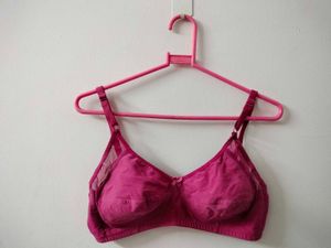 Clovia Bra set of 4