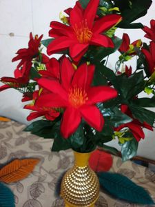 Flower For Decoration