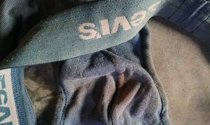 Levi's Men's Briefs
