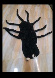 Black dog size