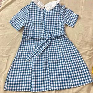 Blue Gingham Dress with Peter Pan Collar