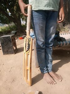 Cricket Bat