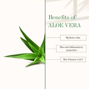Good Vibes Aloe Vera Body Lotion