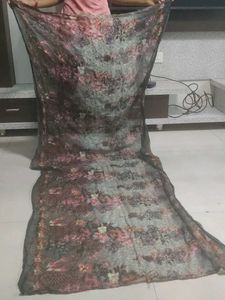 Peach Net Dupatta 100 per piece