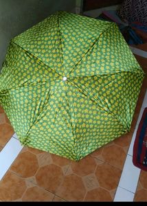 Umbrella