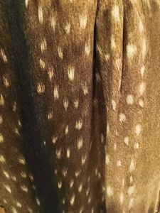 vela deer print hijab ORIGINAL