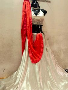 Stunning White &amp; Red Indian Outfit