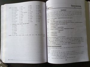 Sanskrit Class 10 Full Marks