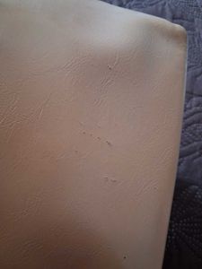 Mango Tan Shoulder Bag