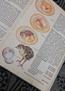 1984 Giant Book of Knowledge - Vintage Hardcover