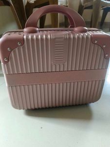 big Pink Vanity Case/Clutch