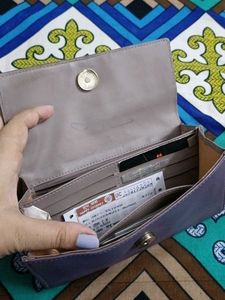 baggit  Wallet sling bag