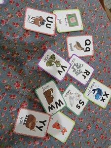 LumaLearn Flash Cards LKG