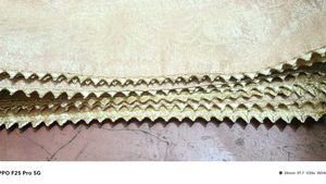 Elegant   Dupatta