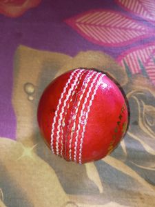 CLUB Leather Ball NEW 🔴🏏
