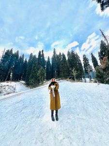 Stylish Long Winter Coat