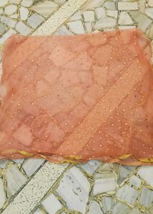 Peach Dupatta with Gold Embellishments