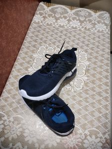Campus Shoes