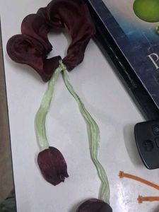Scrunchie