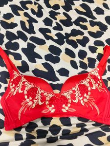 Red Embroidered Bra