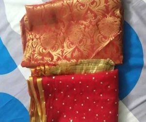 Stunning Red Saree with Gold Embellishments