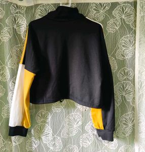 Color Block Cropped Sweatshirt