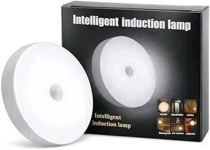 Pack of 2 Intelligent Induction Lamp, Motion Senso