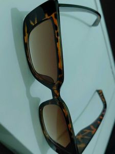 Tortoiseshell Sunglasses