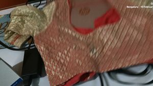 Light red embellished Saree with blouse