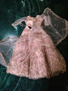 Stunning Pink Embroidered Gown