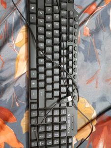 Zebronics Wired Keyboard