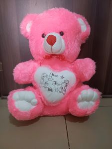 Pink 🩷 Super Soft Teddy