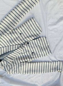 Zara Striped Blazer