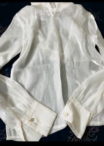 Organza Sheer Stiff Collar Top