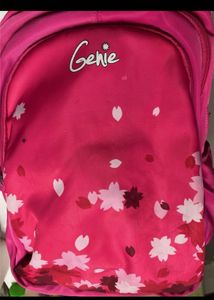 Genie Backpack 36 L