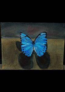Butterfly Art