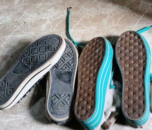Trendy canvas Sneakers for Women