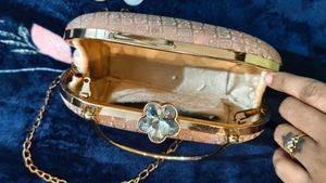 Elegant Evening Clutch