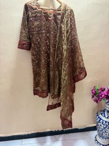 Beautiful organza  party wear dress