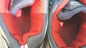 Puma Grey &amp; Red Sneakers