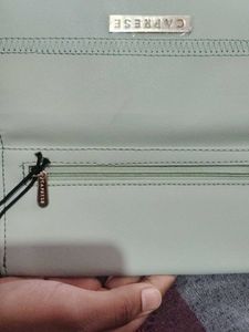 Caprese Women's Wallet