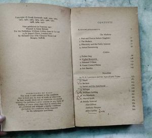 Frank Kermode: Modern Essays